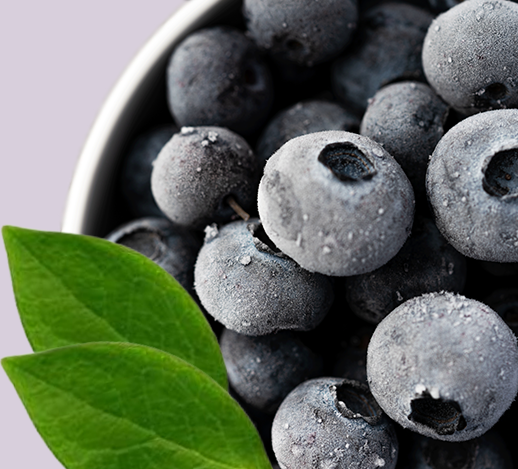 石岡産冷凍ブルーベリー1.5kg 《10口限定》