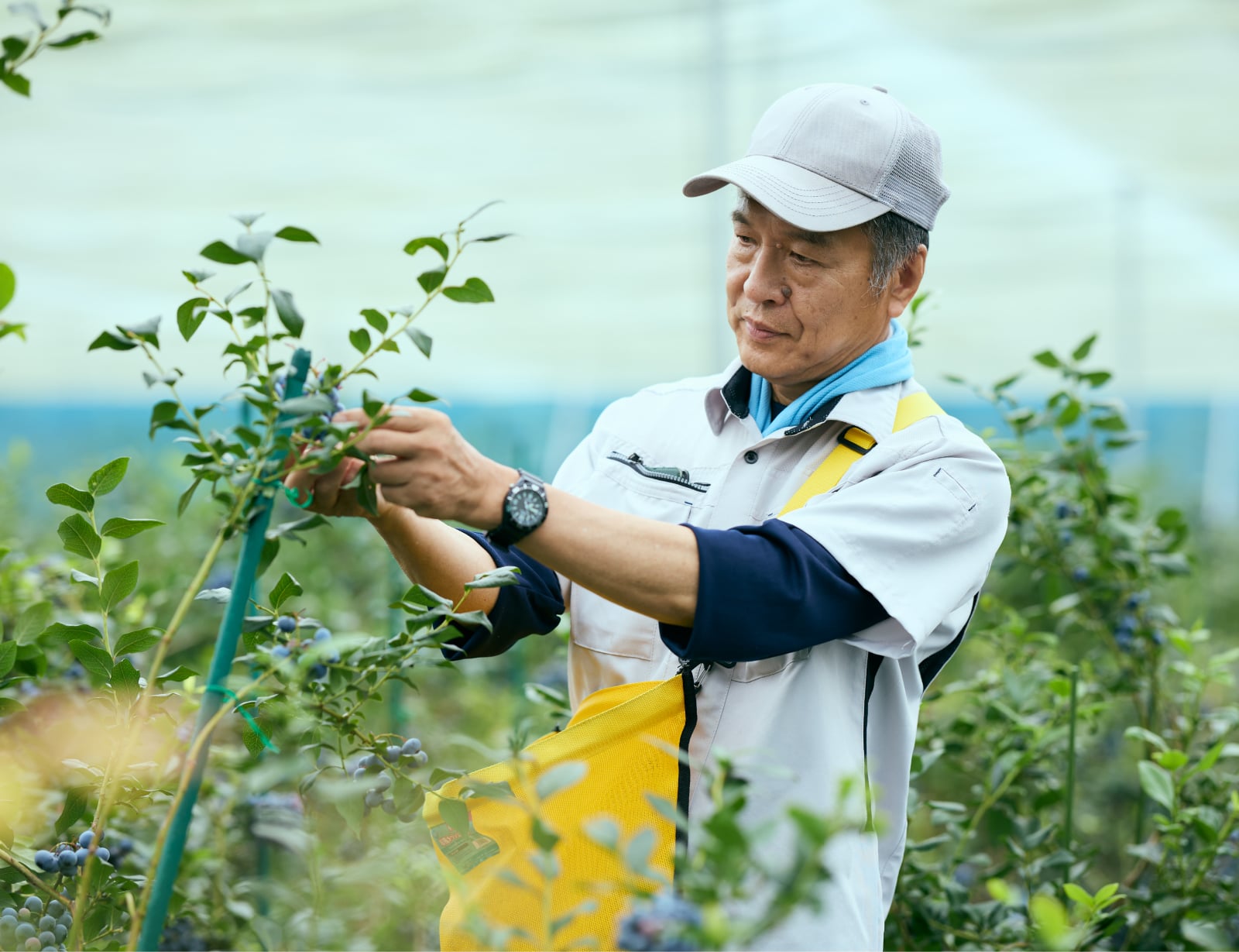 産地直送の“こだわり”